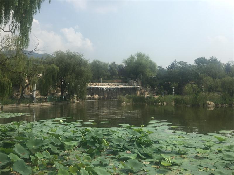 御碑公園“御碑亭” 記載歷史釋人文(圖7)