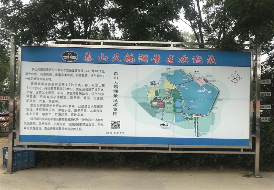 天鵝湖風(fēng)景區(qū)（泰山）速覽！(圖2)