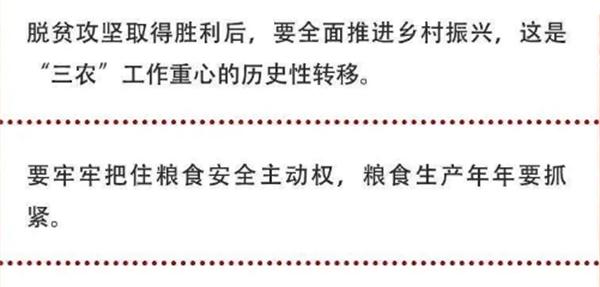 2020年中央農(nóng)村工作會議精神速覽！(圖2)