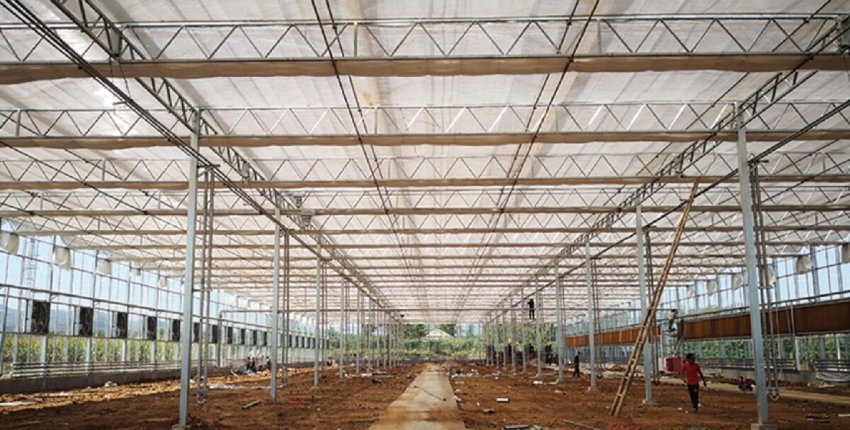 信橋鋼構(gòu)：打卡蒙陰農(nóng)業(yè)溫室大棚、青州黑牛養(yǎng)殖基地！(圖3)