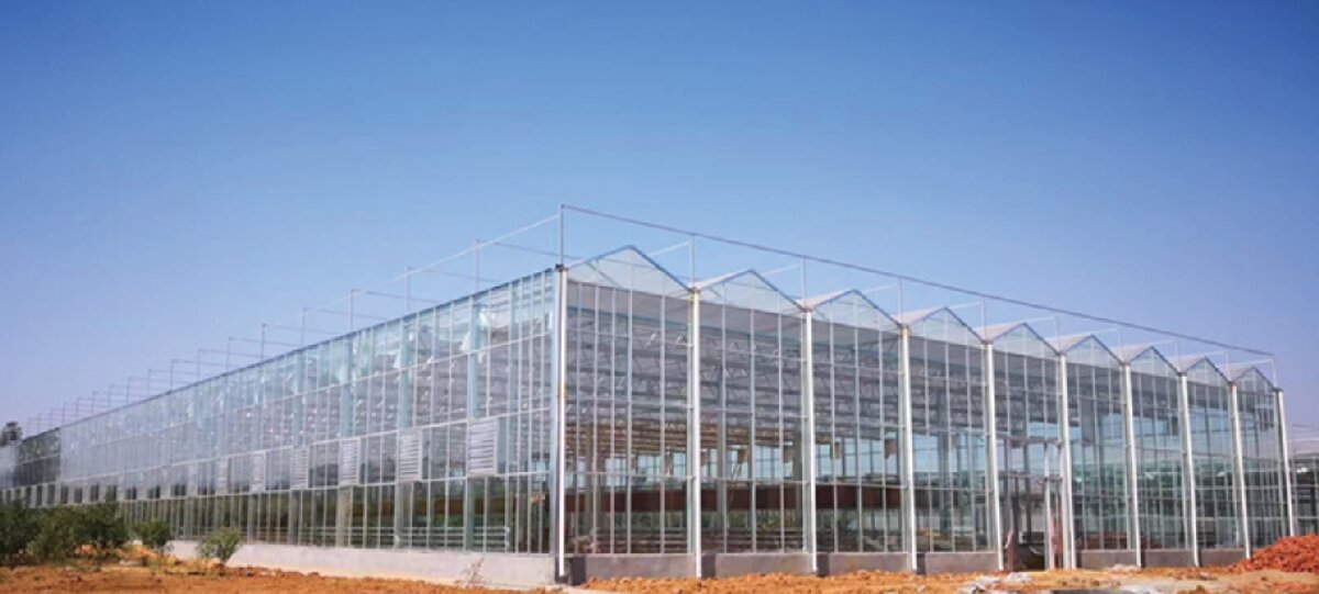 信橋鋼構(gòu)：打卡蒙陰農(nóng)業(yè)溫室大棚、青州黑牛養(yǎng)殖基地！(圖2)